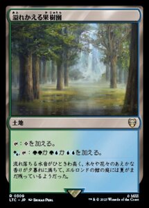 MTG ■土地/日本語版■ 《溢れかえる果樹園/Flooded Grove》指輪物語：中つ国の伝承 統率者　LTC