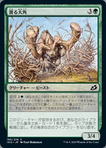 MTG ■緑/日本語版■ 《渡る大角/Migratory Greathorn》イコリア:巨獣の棲処 IKO