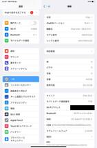 ◇美品◇ iPad mini6 64GB WI-FI ＋ Cellular スペースグレー　cellular SIMフリー　_画像8