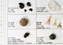 隕石・鉱物・化石１２種コレクション_画像3