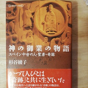 神の御業の物語―スペイン中世の人・聖者・奇跡 (叢書 歴史学への招待)杉谷 綾子　棚 314