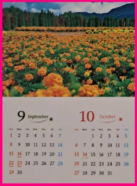 【送料無料：1冊:大きな カレンダー:大きい サイズ:2024年:B3】★綺麗な 「花のある風景:花・フラワー」★壁掛け:52x36㎝:暦:こよみ