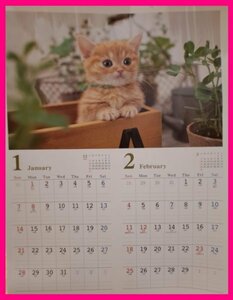 【大きな カレンダー:大きい サイズ:A2 2024年:猫】★可愛い 子猫:No2★60x42cm:ねこ ネコ:壁掛け カレンダー 暦 こよみ