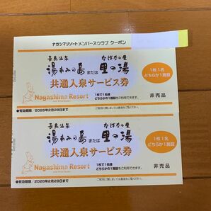 長島温泉 湯あみの島 クーポン2枚