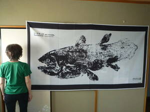シーラカンス原寸大魚拓　布製　幅２１０センチ　縦１１０センチ　全国理科研究会で購入