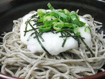 山芋とろろ 50g×10袋(北海道産)とろろいも(ご飯やお蕎麦にピッタリ！)北海道のやまいも使用 美味しいトロロ たっぷり使える10袋セット_画像4