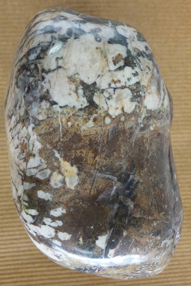 水石・鑑賞石 菊花石母岩黄大輪 珍しく母岩は黄