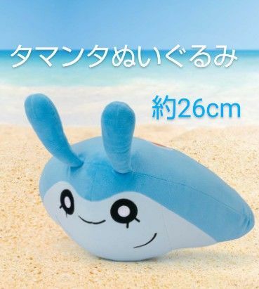 新品タグ付☆ポケットモンスター もふぐっとぬいぐるみ タマンタ ポケモン めちゃでか ピカチュウポケモンカード 匿名配送