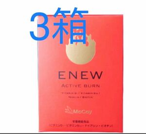 ENEW（エニュー）ACTIVE BURN（アクティブバーン）180粒セット3箱（540粒）