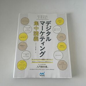 デジタルマーケティング集中講義　はじめてでもよくわかる！ 押切孝雄／著