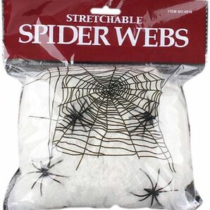 蜘蛛の巣