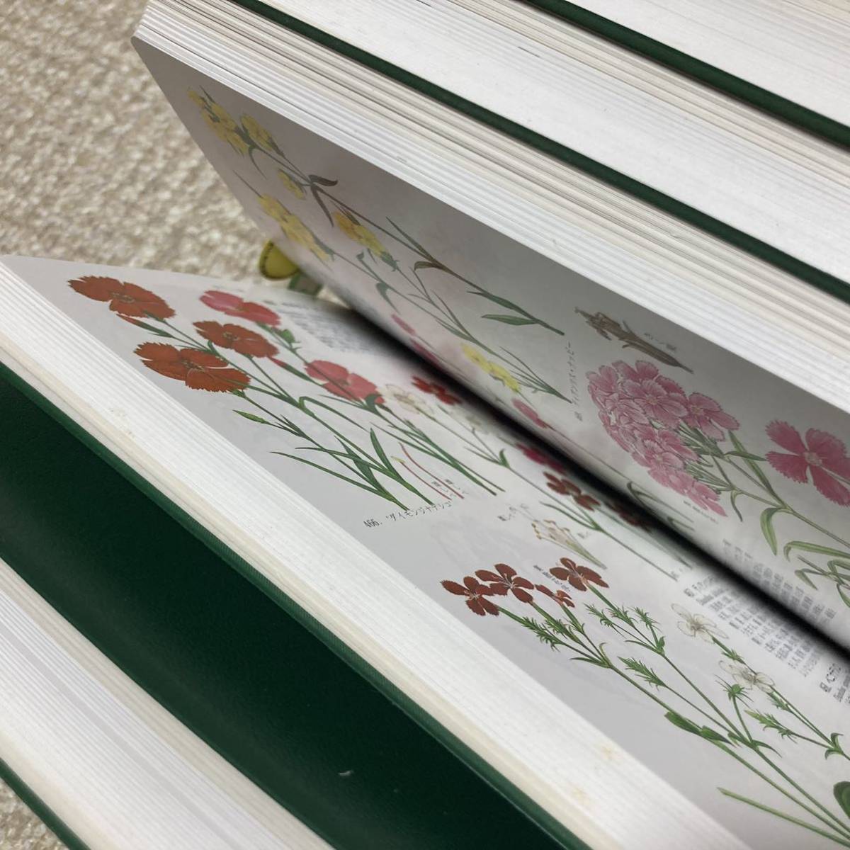 原色園芸植物図鑑全巻コンパクト版7 8 9 10 林弥栄本田正| JChere雅虎
