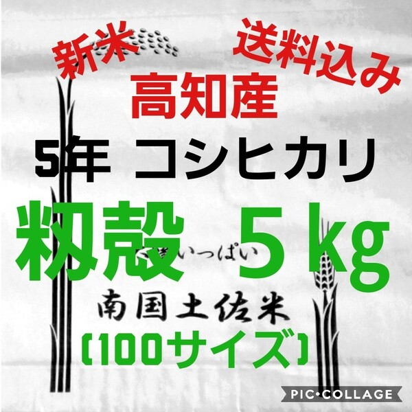 送料込み 令和5年産 高知県産 新米コシヒカリ 籾殻5㎏(袋込み)