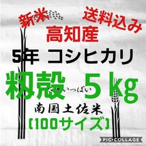 送料込み 令和5年産 高知県産 新米コシヒカリ 籾殻5㎏(袋込み)_画像1