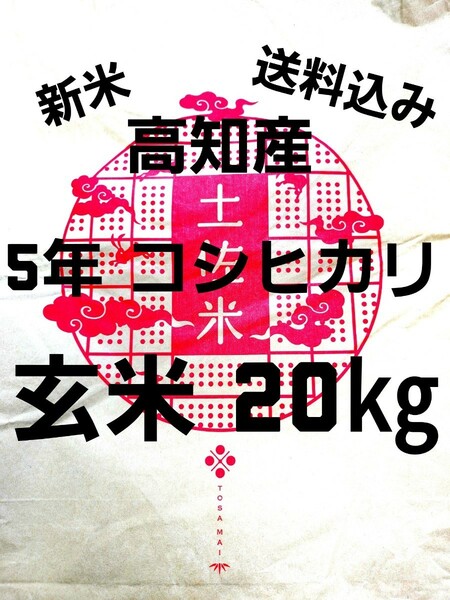 送料込み 令和5年産 高知県産 新米コシヒカリ 玄米20㎏(袋込み)