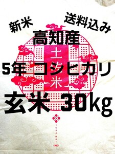  включая доставку . мир 5 год производство Kochi префектура производство новый рис Koshihikari неочищенный рис 30.( пакет включая )