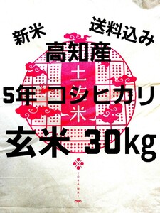 送料込み 令和5年産 高知県産 新米コシヒカリ 玄米30㎏(袋込み)