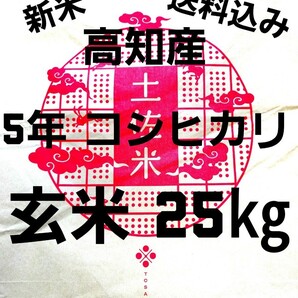 送料込み 令和5年産 高知県産 新米コシヒカリ 玄米25㎏(袋込み)の画像1