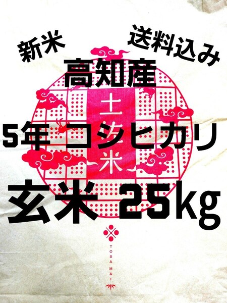 送料込み 令和5年産 高知県産 新米コシヒカリ 玄米25㎏(袋込み)