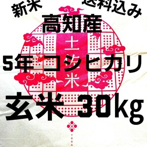 送料込み 令和5年産 高知県産 新米コシヒカリ 玄米30㎏(袋込み)の画像1