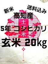 送料込み 令和5年産 高知県産 新米コシヒカリ 玄米20㎏(袋込み)_画像1