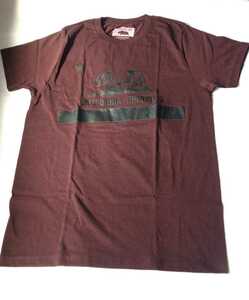 新品 RING OF FIRE CALIFORNIA REPUBLIC アメリカ　bear　半袖 Tシャツ M