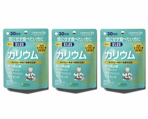 ISDG 医食同源ドットコム カリウム 90粒 ×3袋 L-シトルリン塩化カリウム