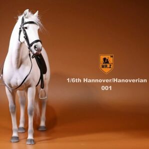 Mr.Z 1/6 サイズ ホース 馬 競走馬 動物 リアル フィギュア 大人のおもちゃ 模型 37cm級 スタチュー 誕生日 プレゼント置物 白001の画像3