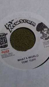 Studio One's Foundation Track Re-Make Let Them Try Riddim What A World Tony Tuff from African Museum