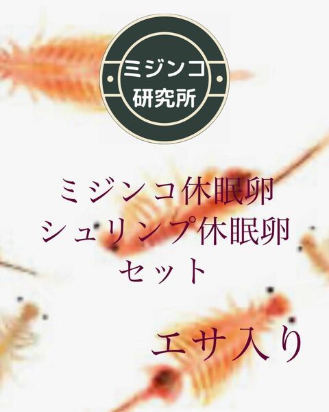 ミジンコ休眠卵、ブラインシュリンプ休眠卵エサ入りセット　