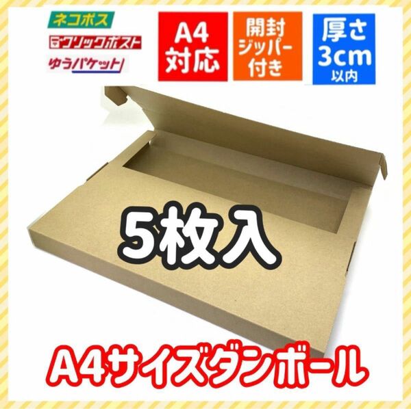 ネコポスに最適！A4ダンボール箱5枚セット