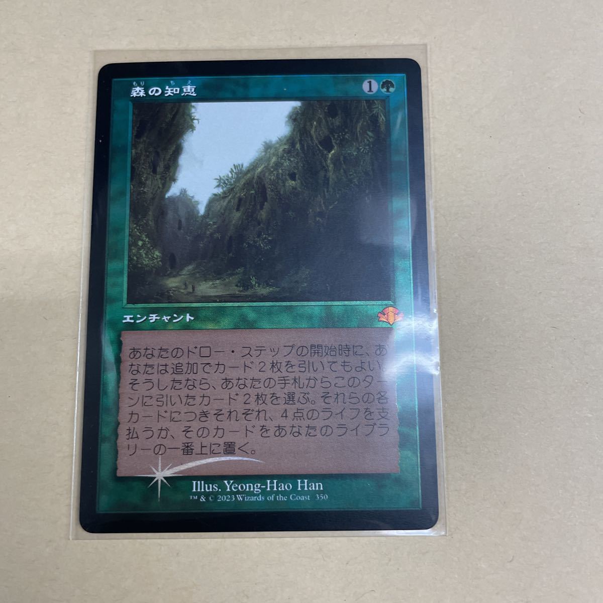 2023年最新】ヤフオク! -森の知恵 MTG(トレーディングカードゲーム)の