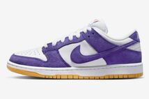 NIKE SB DUNK LOW PRO ISO ORAGE LABEL COURT PURPLE GUMナイキSBダンク ロー プロISOオレンジ レーベル コートパープル DV5464-500 27cm_画像3