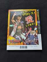 燃えろ新日本プロレス　vol.11　DVD タイガーマスク グラン浜田 エル・ソラーノ マスクド・ハリケーン　アントニオ猪木 タイガーキング_画像8