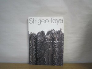 Art hand Auction [Bildkatalog] Shigeo Toya: Die Falten des Waldes 2003, Malerei, Kunstbuch, Sammlung, Katalog