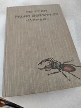 ドイツの甲虫図鑑 Fauna Germanica. Die Kafer des Deutschen Reiches. Nach den analytischen Methoden bearbeitet. V. Band. 1916_画像1