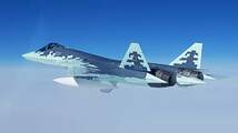 ◆◇GALAKY MODEL【D48021】1/48 Su-57フェロン ロシア空軍青の509デジタル迷彩用マスキングシートセット(ズベズダ4824用)◇◆　_画像9