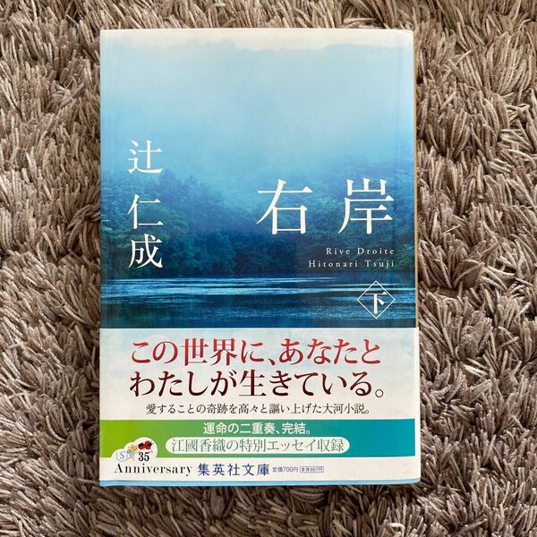 右岸　下 （集英社文庫　つ１１－１７） 辻仁成／著