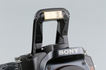 Sony α100 / a100 Digital SLR Camera #48785F3_画像7