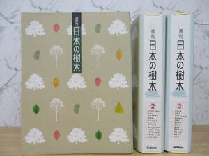 e1-2（週刊 日本の樹木）全30巻 専用バインダー付 全巻セット 学習研究社 学研 学研グラフィック百科 図鑑 自然 マツ ブナ シラカバ