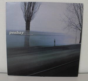 英国盤　LP peshay / MILES FROM HOME 手彫りマト　中古美品