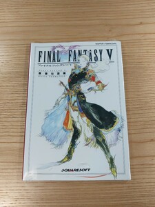 【D2090】送料無料 書籍 ファイナルファンタジーV 基礎知識編 ( SFC 攻略本 FINAL FANTASY 5 B6 空と鈴 )