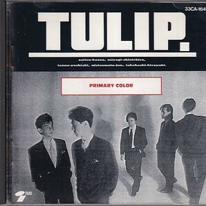 CD チューリップ プライメリー・カラー TULIP PRIMARY COLORの画像1