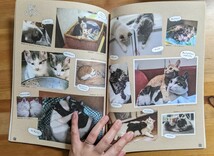 【中古・送料無料】anan　コニャンコ　フォトブック　猫　子猫　写真　写真集　雑誌　本　肉球_画像5