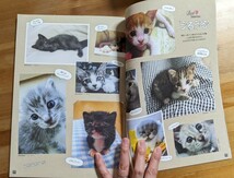 【中古・送料無料】anan　コニャンコ　フォトブック　猫　子猫　写真　写真集　雑誌　本　肉球_画像4