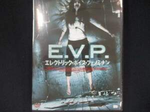 0028 中古DVD＃ E.V.P. エレクトリック・ボイス・フェノミナン