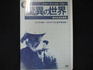 0029 中古DVD＃ ジャン=ミッシェル・クストーの新・驚異の世界3 知られざる真実 「OCEAN ADVENTURES」クジラの涙 コククジラに忍び寄る影