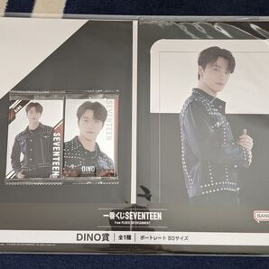 SEVENTEEN ディノ まとめ売り