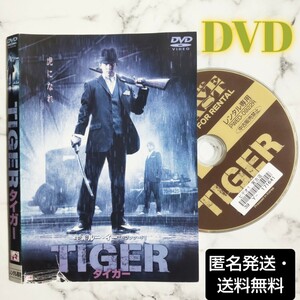 ルー・イー★ロイ・チョン★ウー・ジン『TIGER タイガー』レンタル落ちDVD