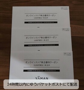 ヤーマン　YA-MAN　オンラインストア　株主優待券20000円　株主優待制度